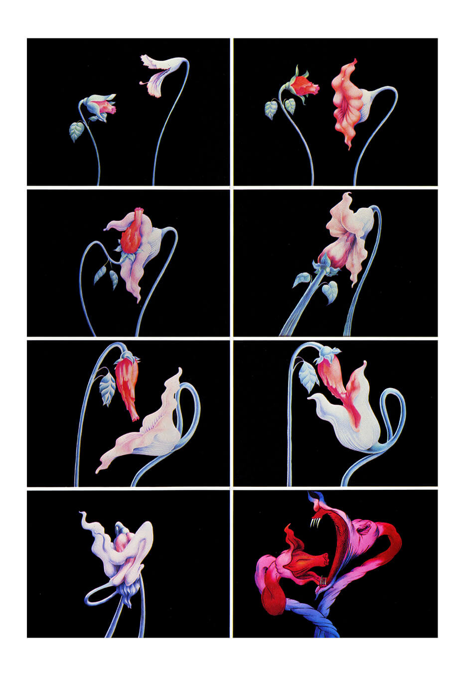 Pink Floyd The Wall: The Flowers Sequence