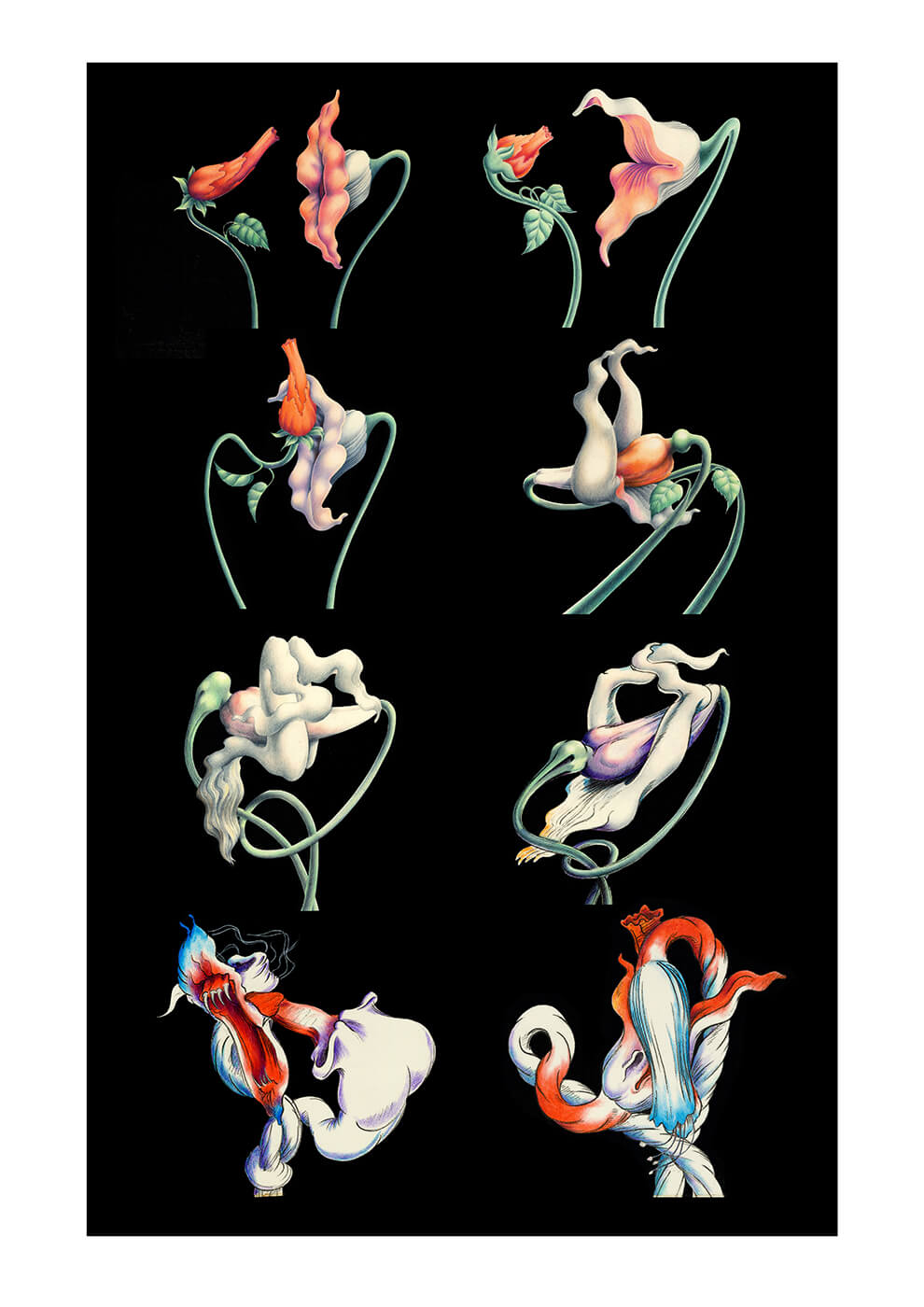 The Flowers Sequence